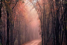 jinnianhui金年会首页:足協杯1/8決賽天津泰達1-0貴州恒豐 鄭凱木打進全場唯一進球.