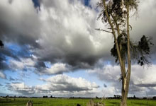 英超聯盟宣布阿蘭-希勒和亨利進入英超名人堂.