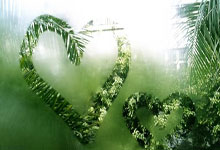 jinnianhui金年会首页:足協杯1/8決賽天津泰達1-0貴州恒豐 鄭凱木打進全場唯一進球.