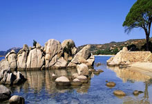 jinnianhui金年会首页:足協杯1/8決賽天津泰達1-0貴州恒豐 鄭凱木打進全場唯一進球.